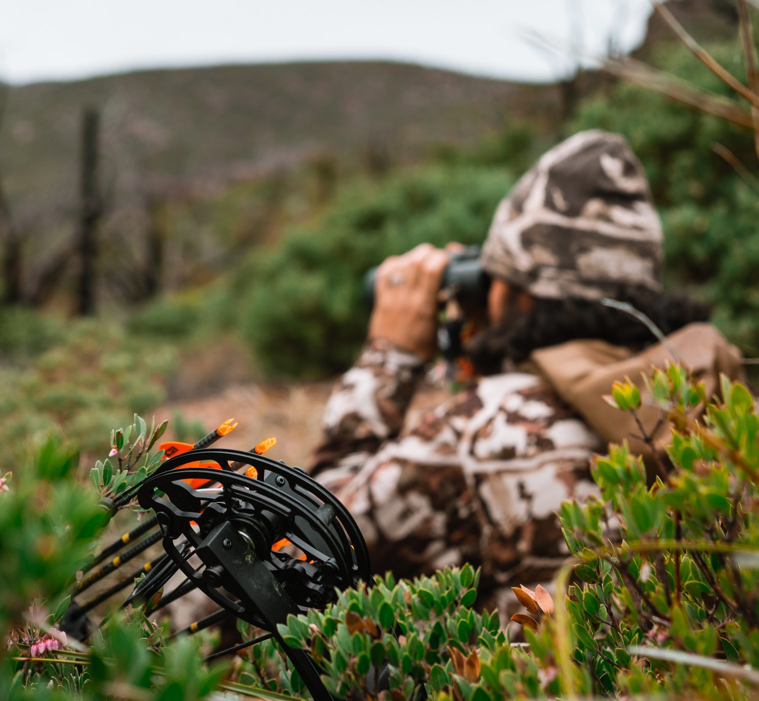 Josh from dialed in hunter glassing for bears in arizona during a spring hunt