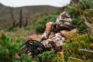 Josh from dialed in hunter glassing for bears in arizona during a spring hunt