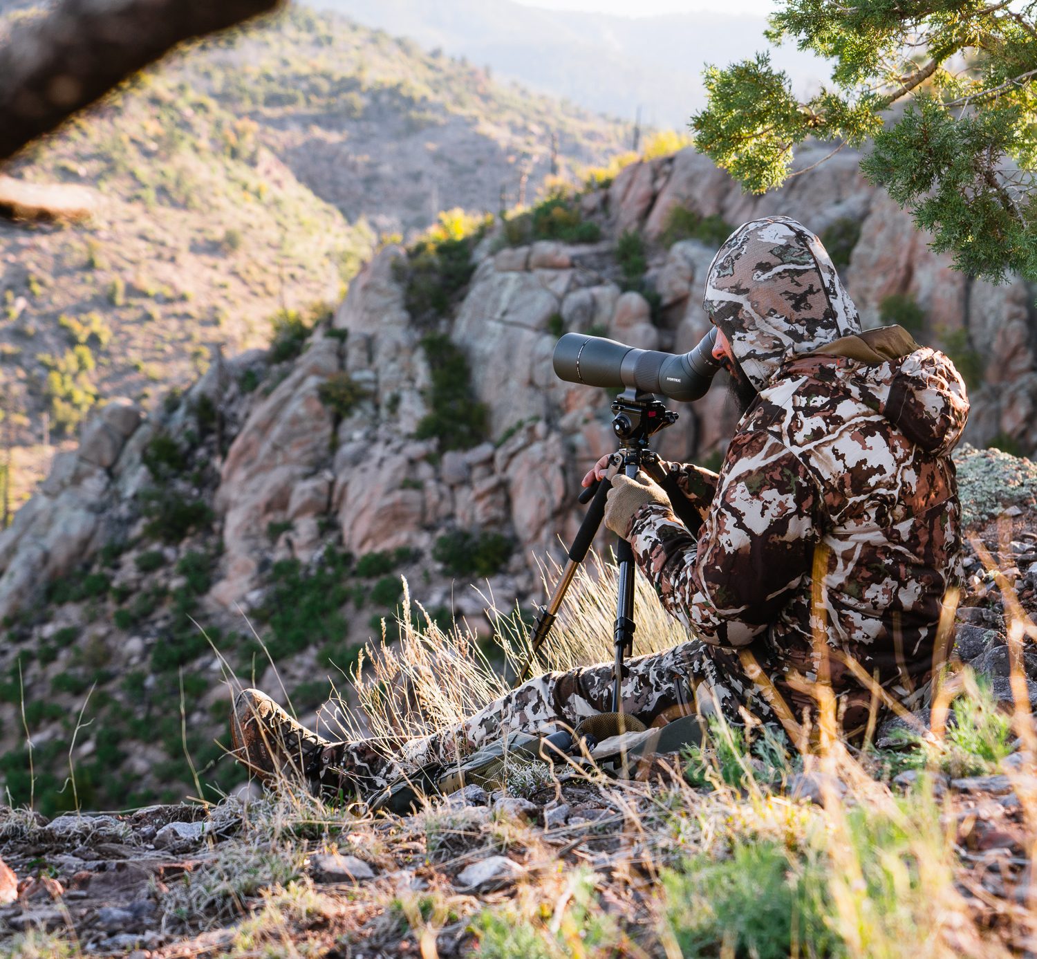 Josh from Dialed in Hunter glassing for spring bears in Arizona