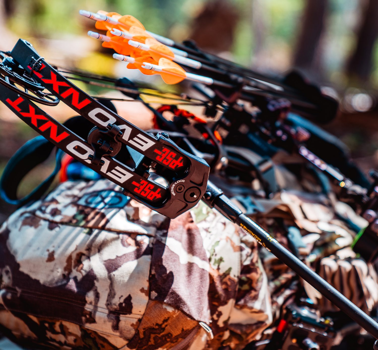 Bow and arrows strapped to a backpack in the backcountry of Colorado