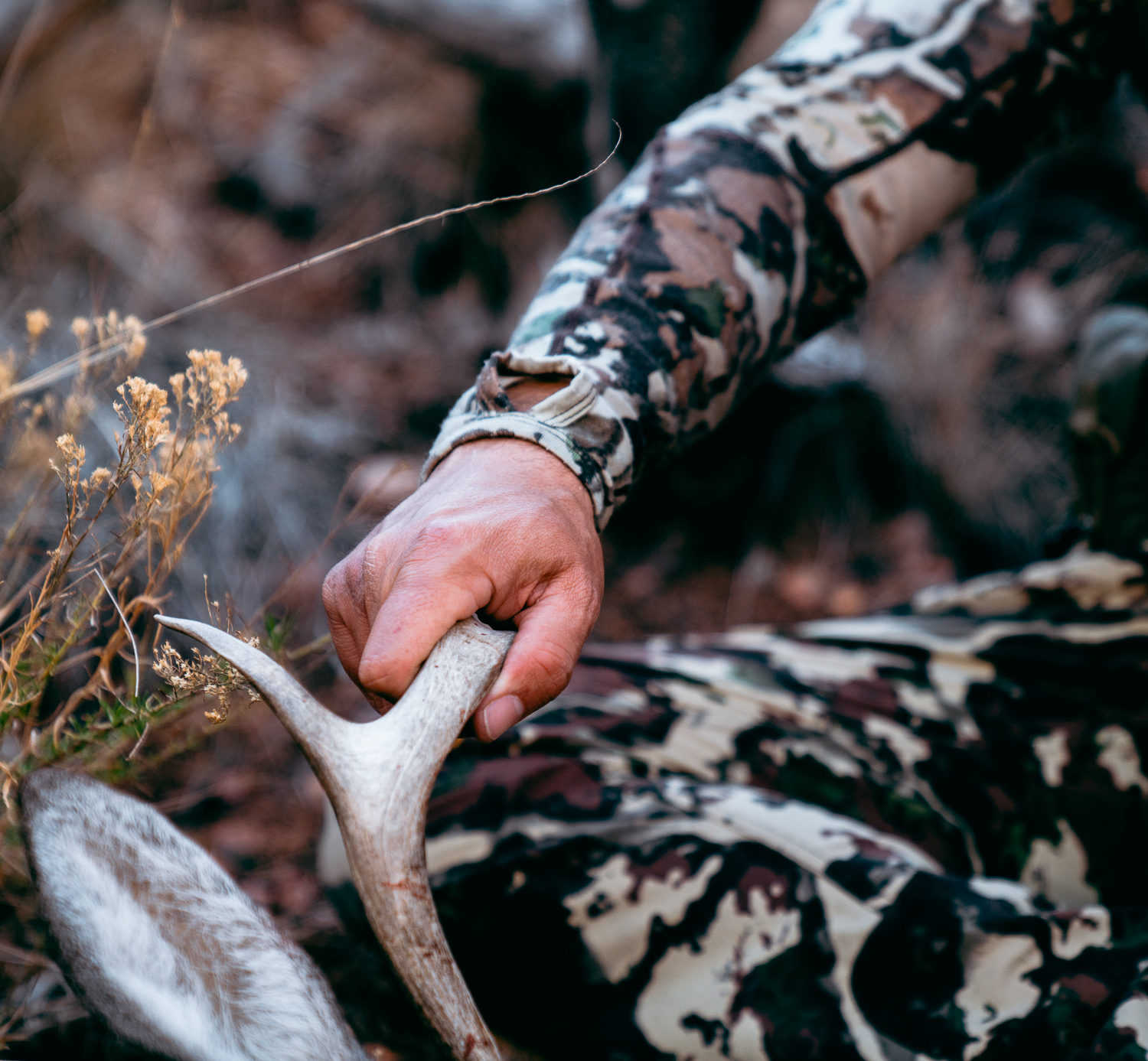 Josh Kirchner of Dialed in Hunter and his 2021 Archery Coues Deer taken in Arizona on a backpack hunt