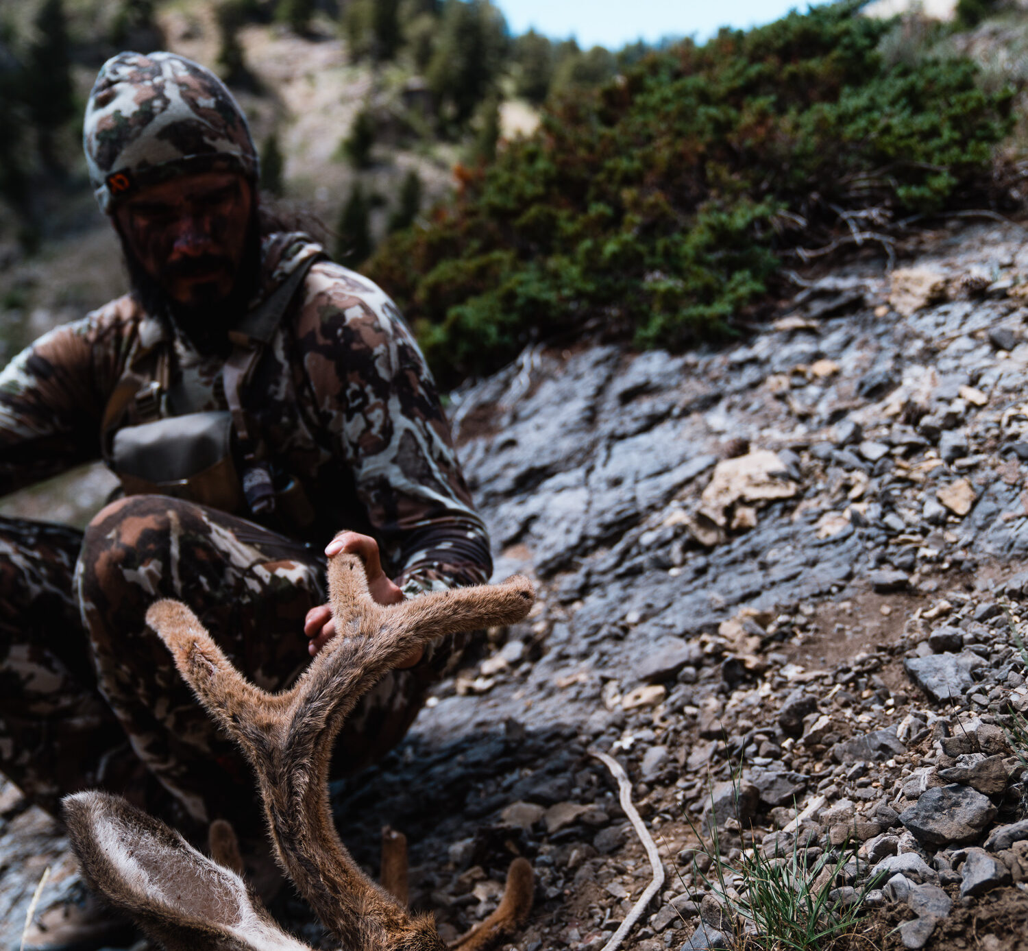 Bowhunting for Mule Deer in the High Country
