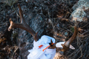 Coues deer antlers from a buck that Josh Kirchner harvested in Arizona with his bow