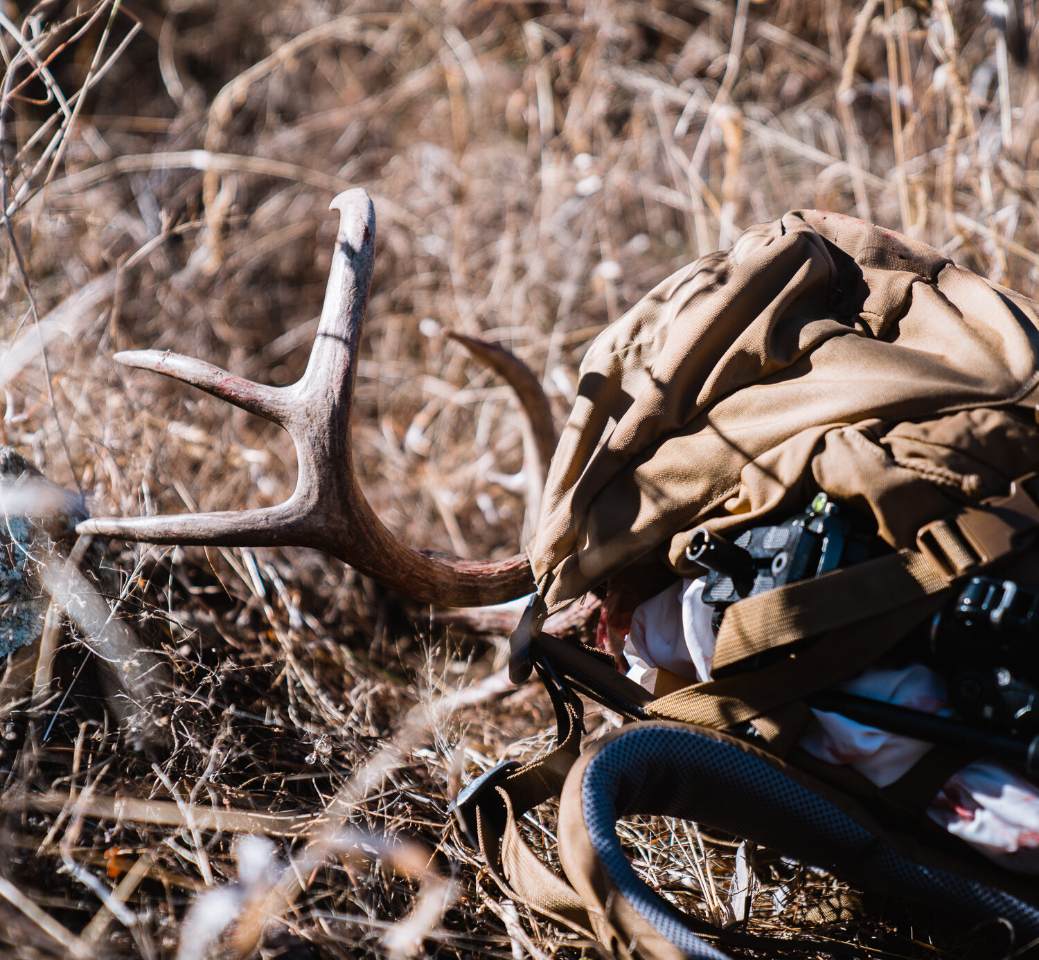 Exo Mountain Gear K4 pack with a coues deer buck loaded into it