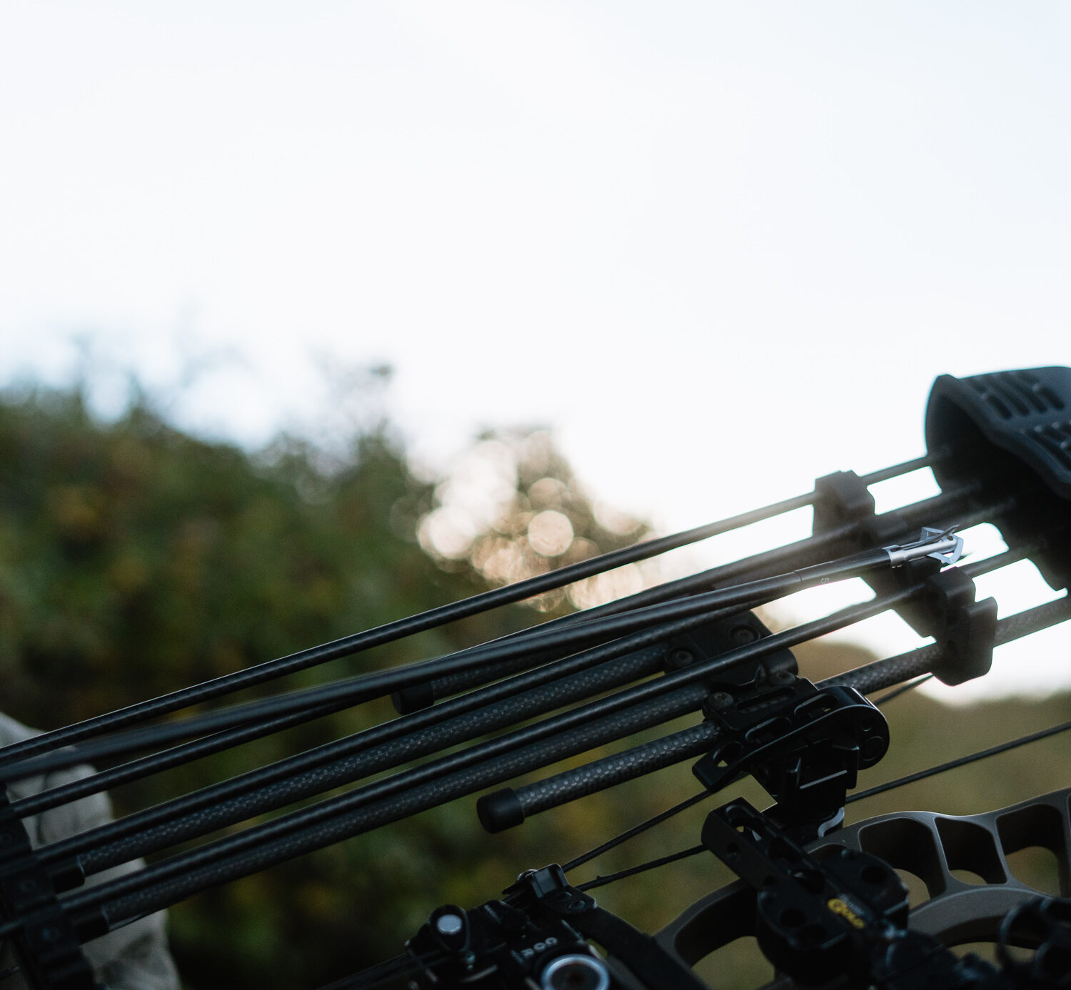 Broadhead tipped arrow on a mule deer hunt