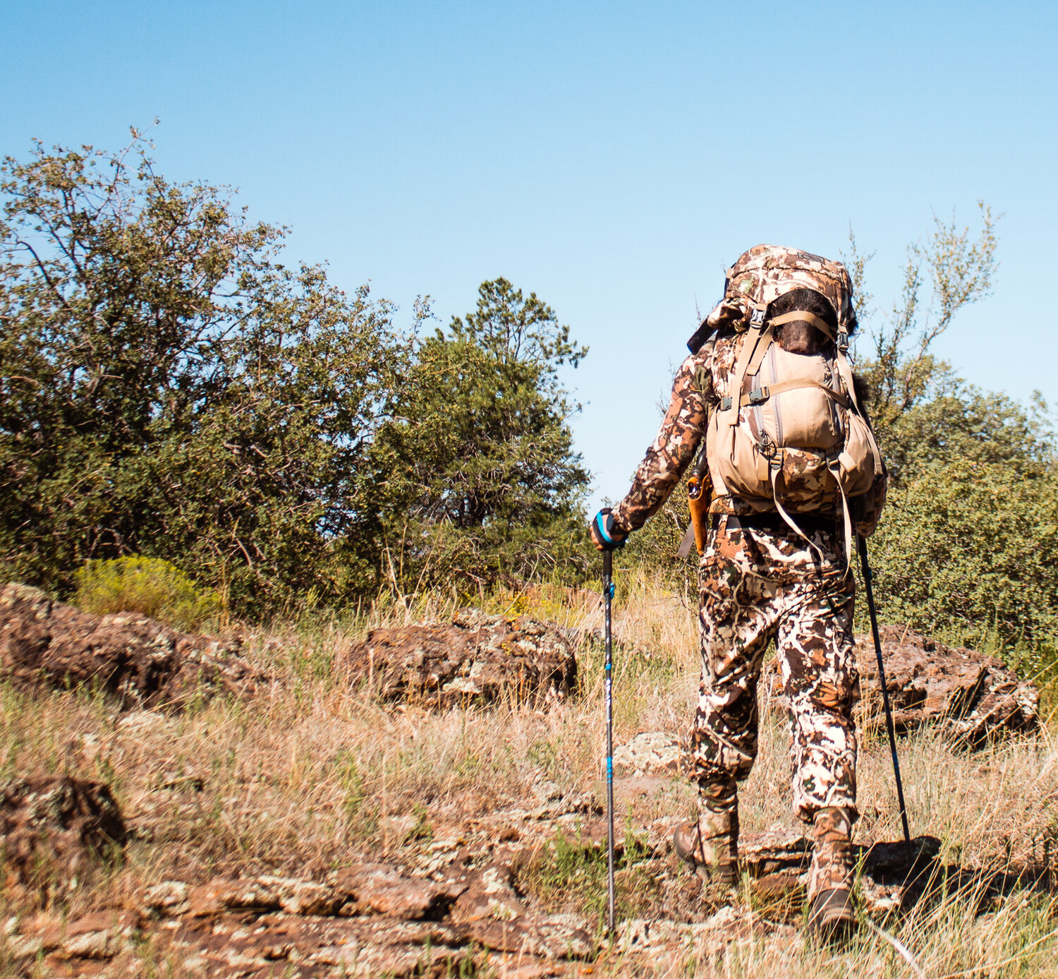 Josh Kirchner packing out one of his Fall bears in Arizona