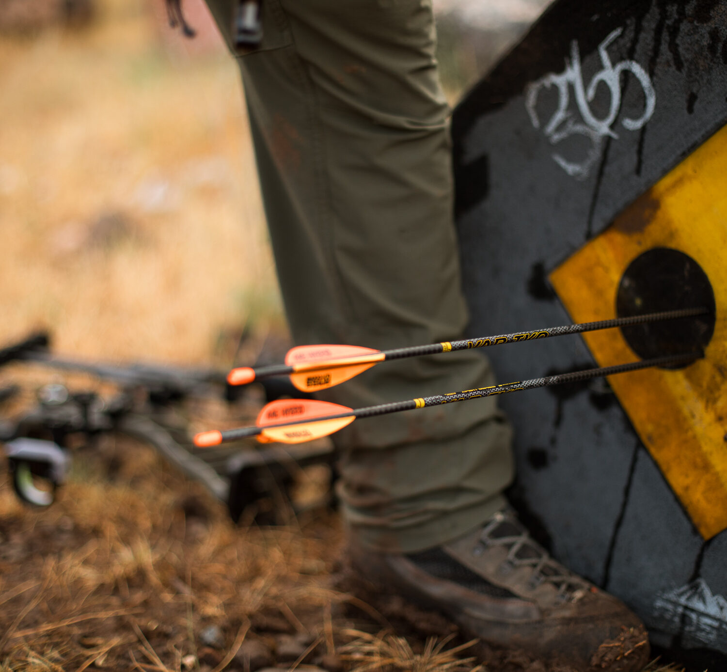 Arrows in a target
