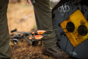 Arrows in a target