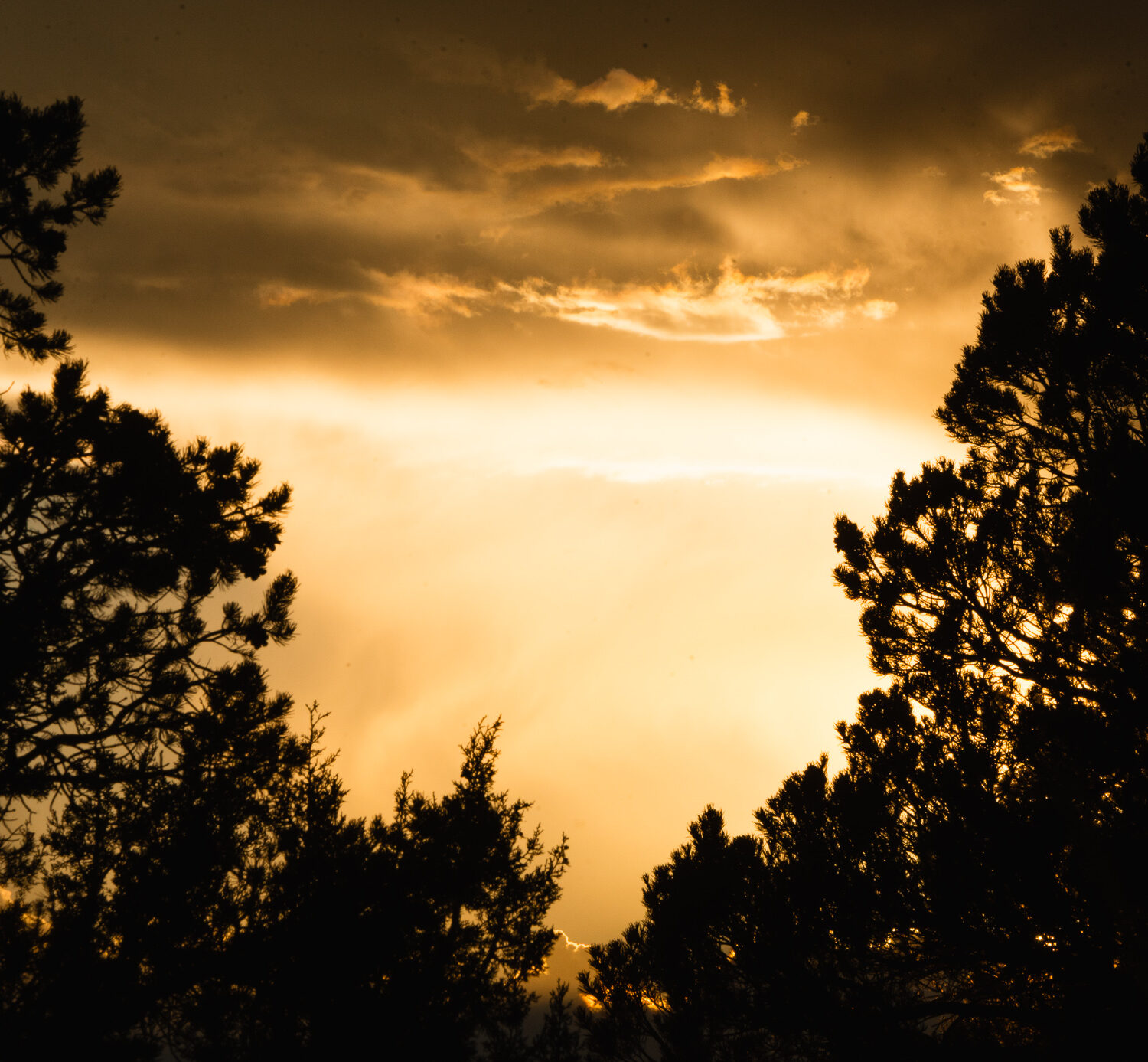 An Arizona sunset on a Fall bear hunt