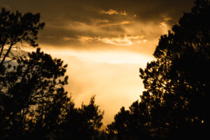 An Arizona sunset on a Fall bear hunt