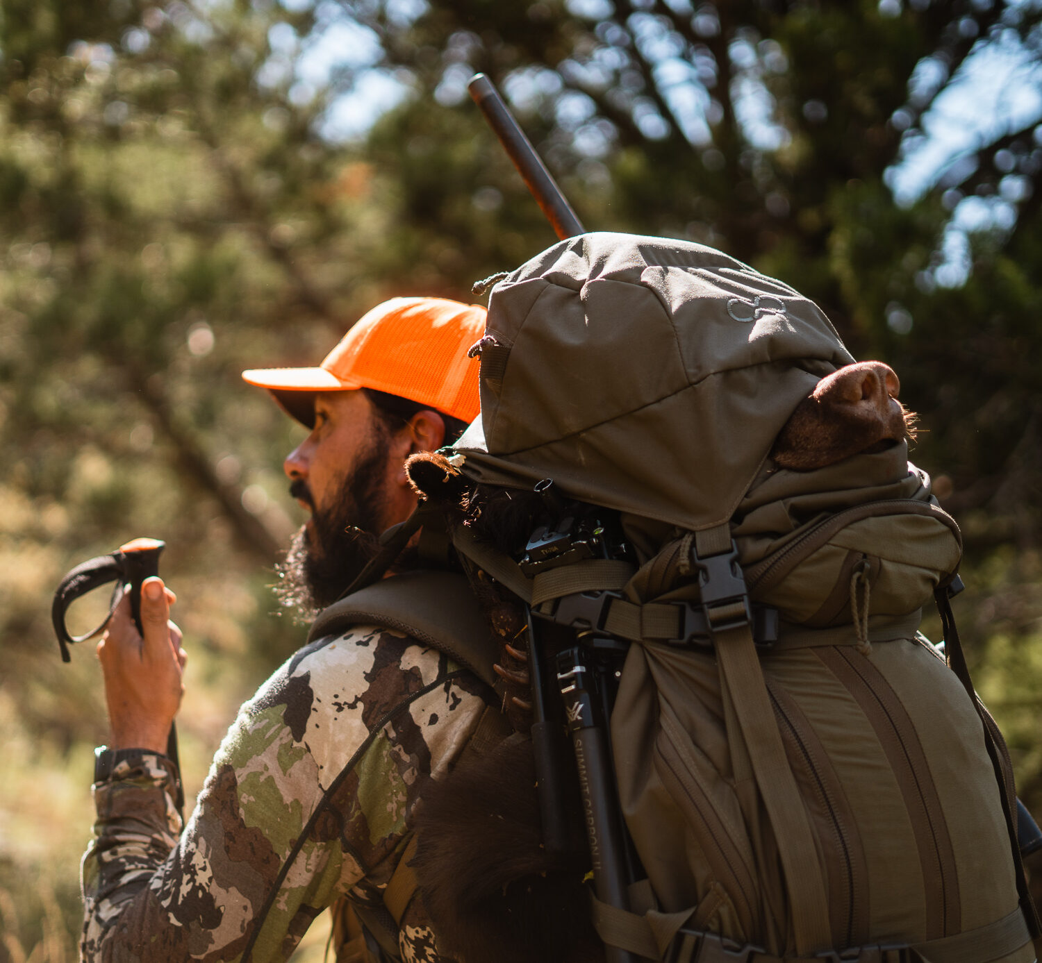 Josh Kirchner from Dialed in Hunter packing out a fall black bear on a hunt in Arizona