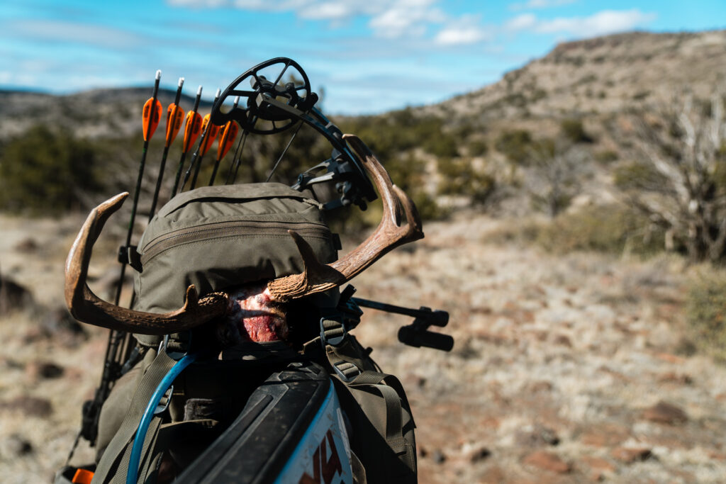 Coues deer buck loaded in a backpack sitting on the tailgate of Josh Kirchner's truck after a successful archery coues deer hunt in Arizona