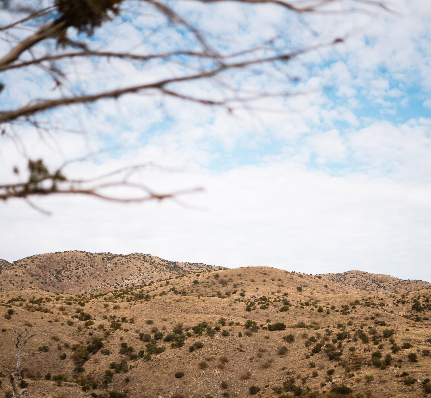Arizona desert on a backpack hunt for coues deer