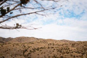 Arizona desert on a backpack hunt for coues deer
