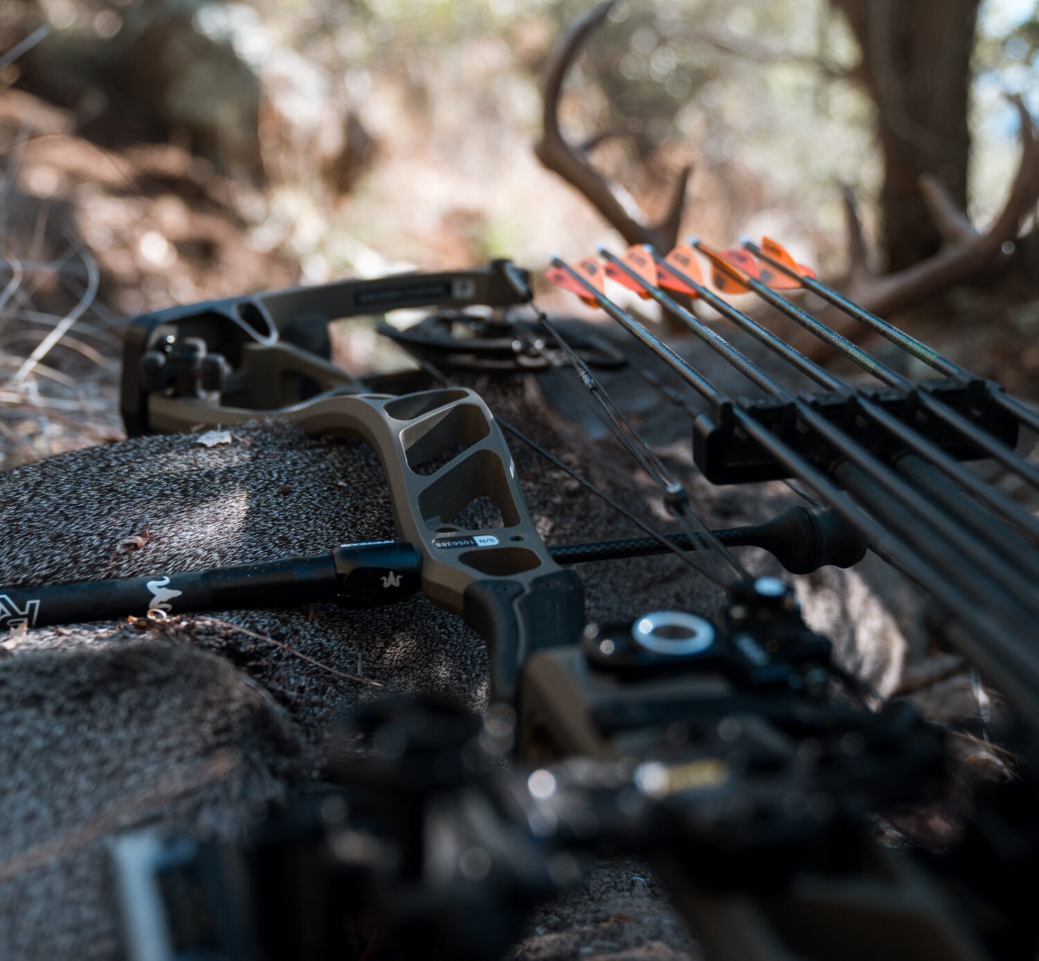 A coues buck Josh Kirchner harvested during the 2024 archery season in Arizona