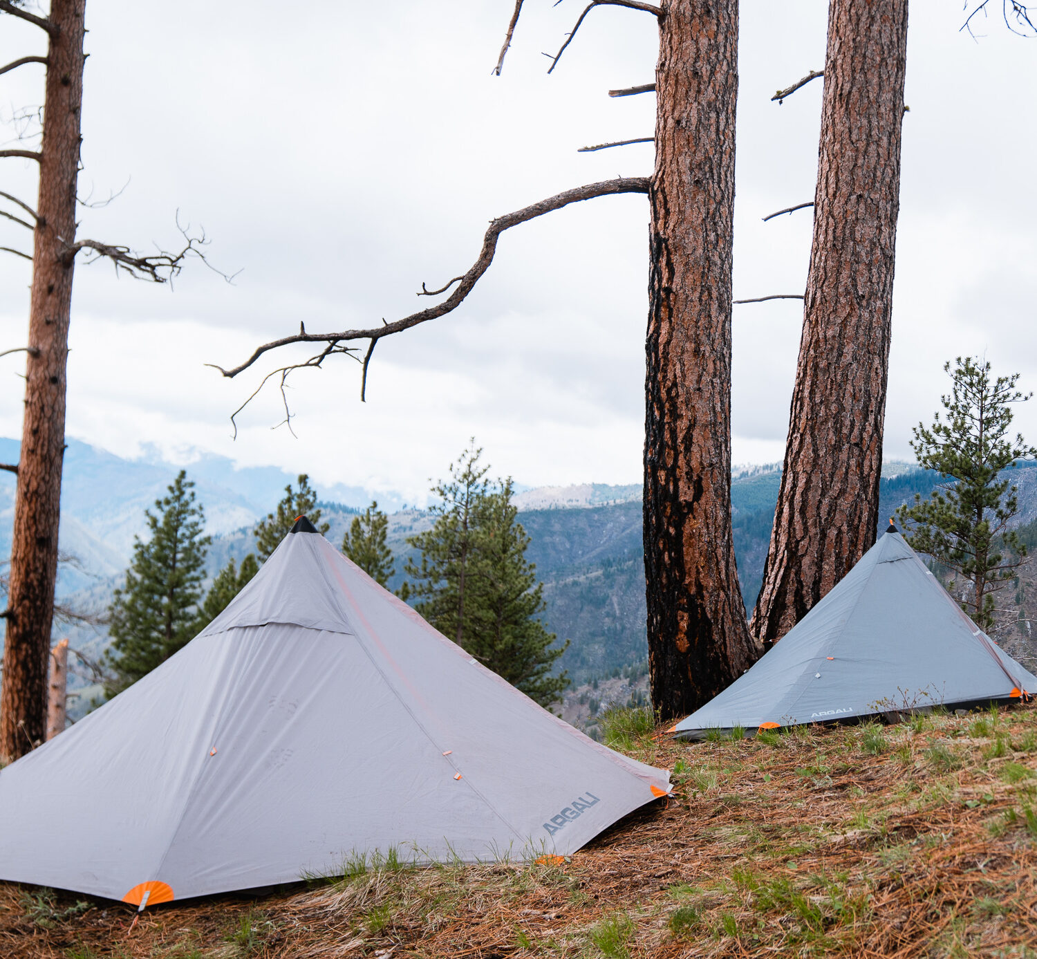 Backpack hunting tents set up on a spring bear hunt in Idaho