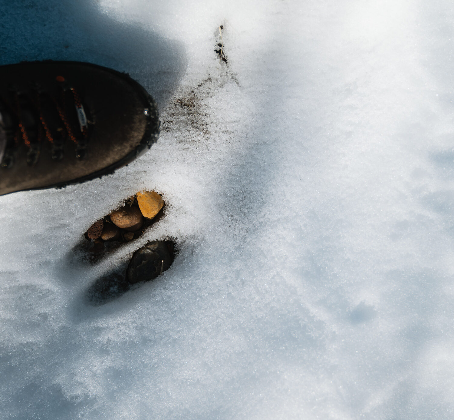 Hunter standing next to a whitetail deer track in the snow