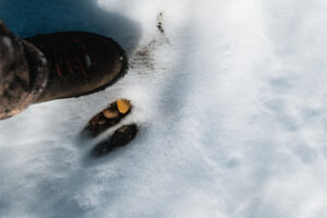 Hunter standing next to a whitetail deer track in the snow