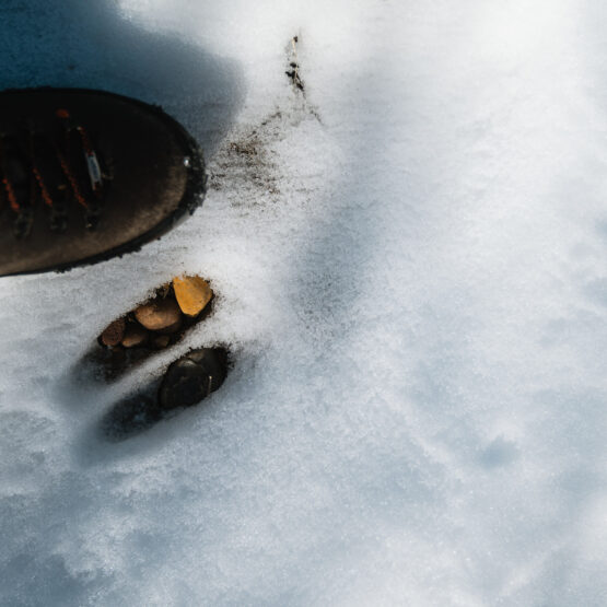 Hunter standing next to a whitetail deer track in the snow