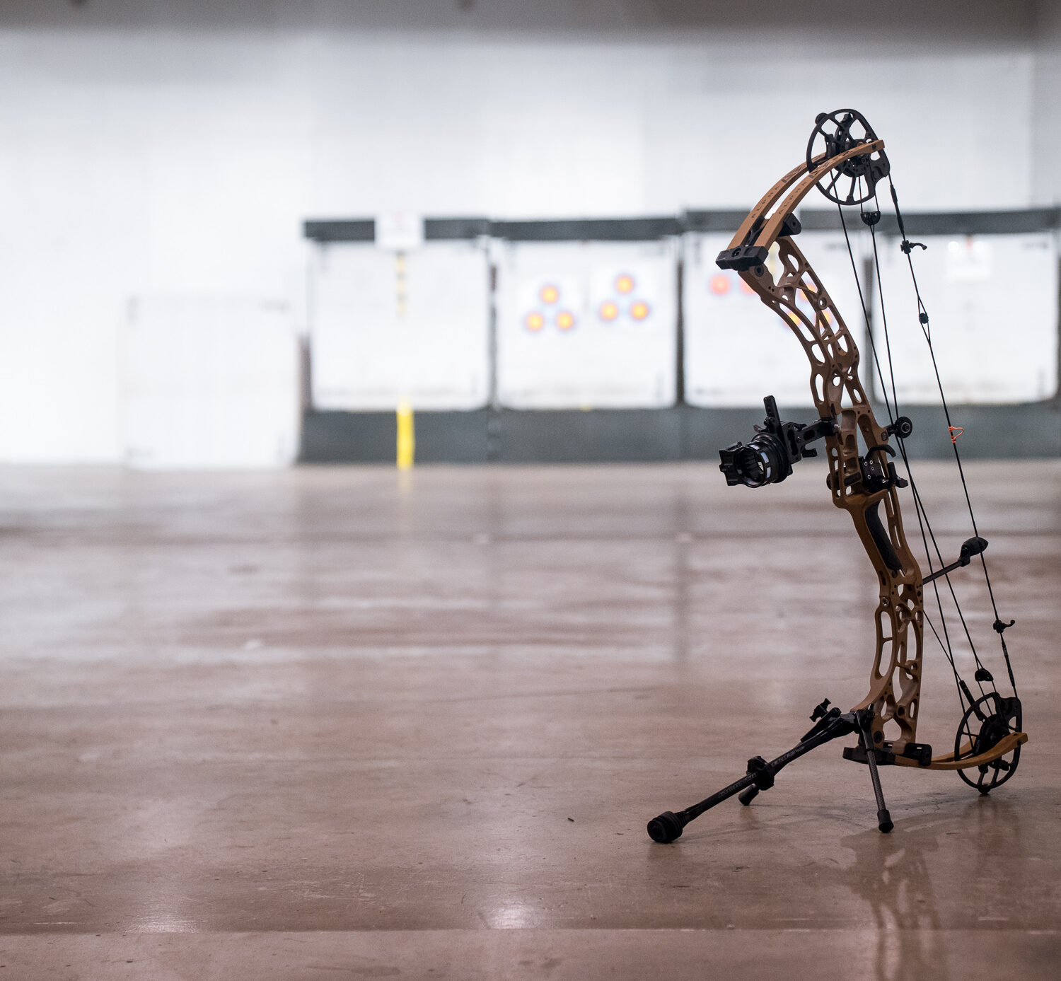 Hoyt Alpha AX2 Bow