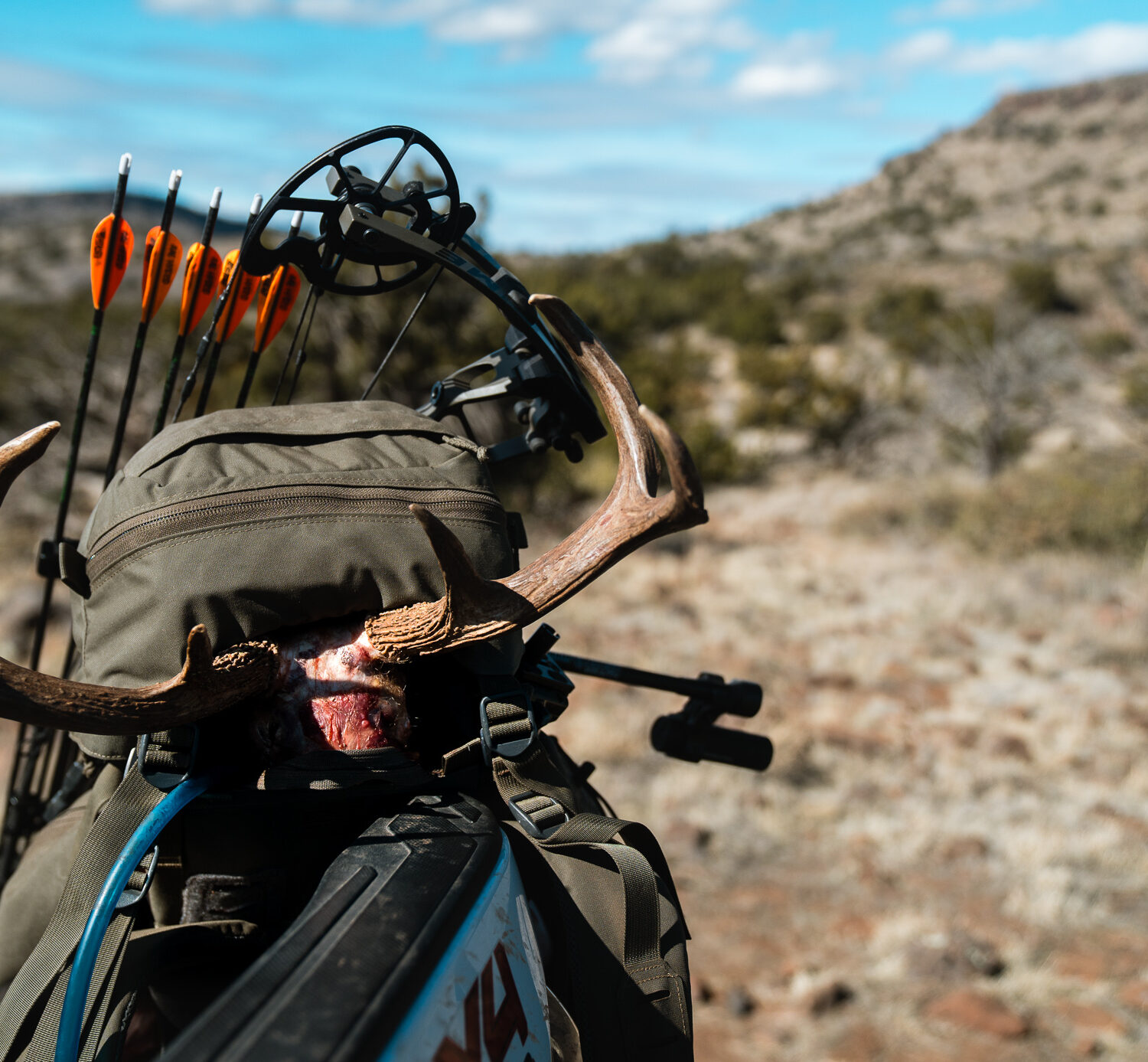 Coues buck that Josh Kirchner harvested in Arizona