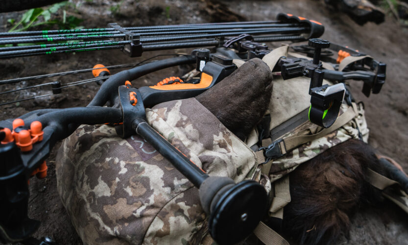 a black bear loaded into an exo mountain gear hunting backpack on an archery bear hunt in arizona