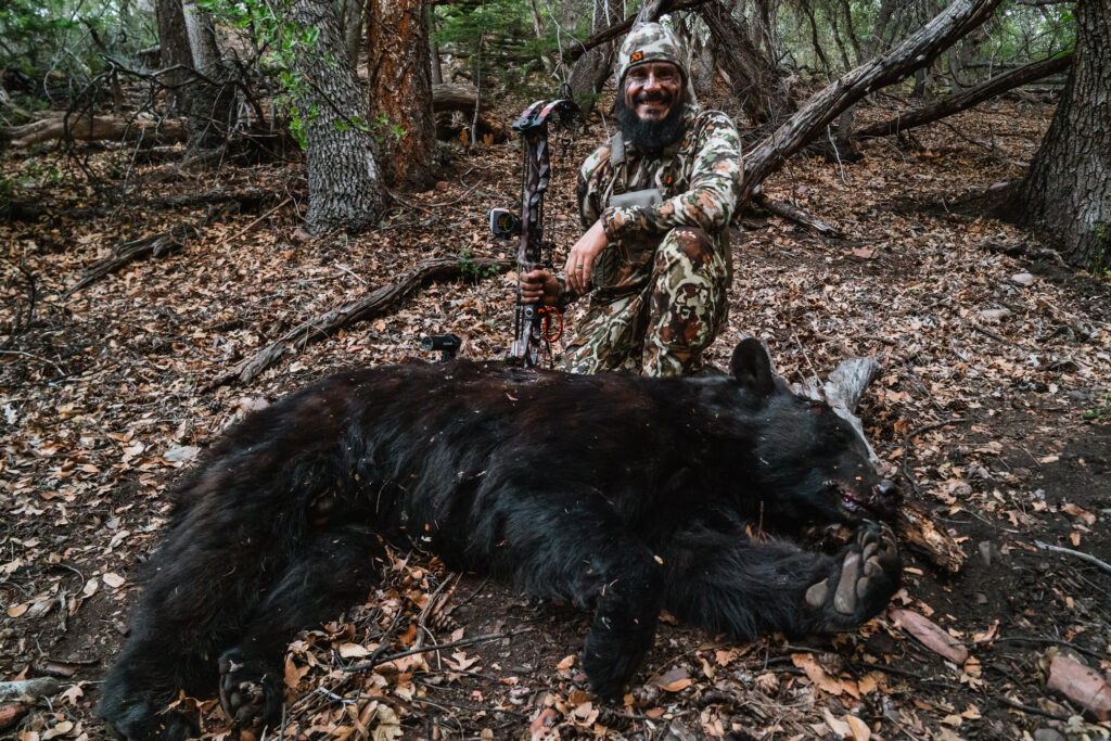 A black bear Josh Kirchner shot while bowhunting in Arizona