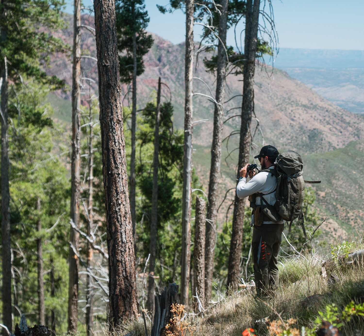 Josh Kirchner from Dialed in Hunter glassing for black bears in Arizona