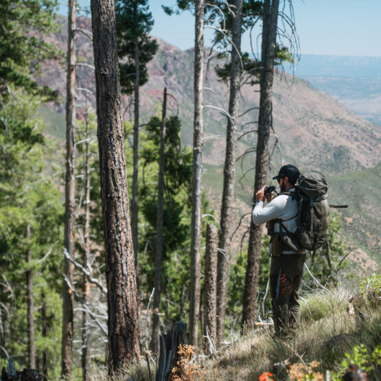 Josh Kirchner from Dialed in Hunter glassing for black bears in Arizona