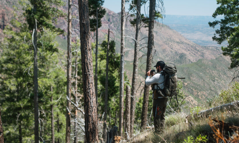 Josh Kirchner from Dialed in Hunter glassing for black bears in Arizona
