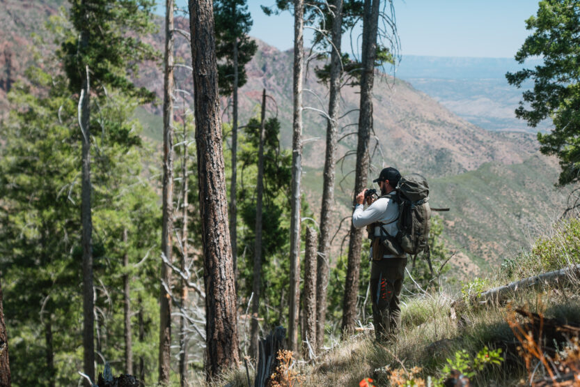 Josh Kirchner from Dialed in Hunter glassing for black bears in Arizona